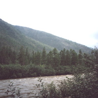 Река Хани, окрестности одноимённого посёлка