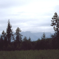 Северные окрестности Новой Чары