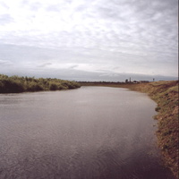 Река Омь. Ниже Куйбышева