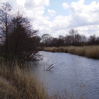 Река Иловля, окресности Боровки