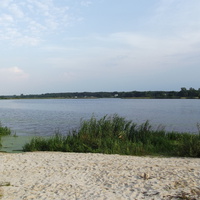 Озеро (залив Мухавца) возле Шебрина