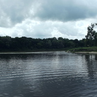 Впадение реки Пина в Припять