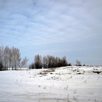 Природа села Шидловка