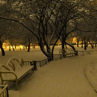 Лавочки в Бирюлево