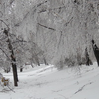 Ледяная зима - 2010