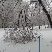 Сквер в Бирюлево (2010)