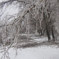 У Загорьевских прудов (2010)