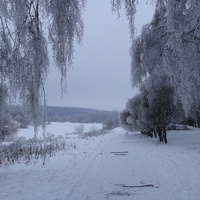 Загорьевские пруды (2010)
