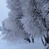 Загорьевские пруды (2010)