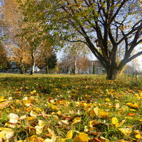 осінь у Мотовилівці