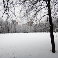 Футбольное поле