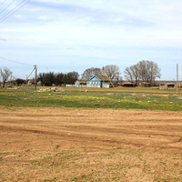 остатки хутора Дарганов