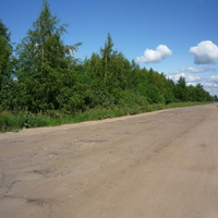 Ухабистая дорога на участке Петрилово – развилка