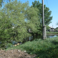 пруд в Борисовке