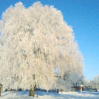 Зима в Слобідці