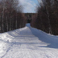 Дорога на Толстиково