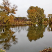река Быстрая у хутора