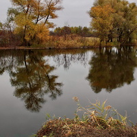 река Быстрая -осень