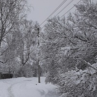 Зима  в  Бацевичах.  2013 г.