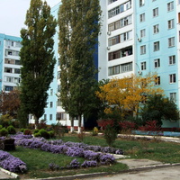 двор жилого дома по ул.Энтузиастов,56