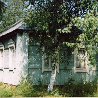 Домик в березках в середине лета.