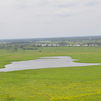 Озеро "Кобыльево"
