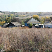 хутор Н.Кривской