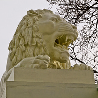Статуя льва возле Белой башни