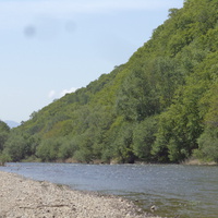 река Партизанская