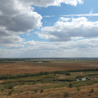 река Сал - на горизонте - хутор Шаминка