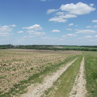 Андреевское, поле