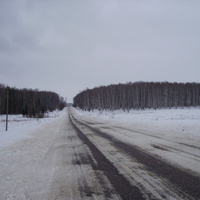 Местное шоссе (участок Малое Карасёво – Семёновский)