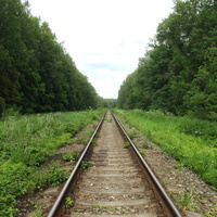 Железнодорожная ветка Голутвин – Озёры