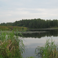 Ельнинский район,деревня Хлысты река Копылка.