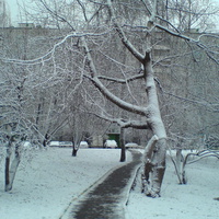 Тропинка к школе (2010)