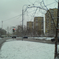 Бирюлевская / Лебедянская улицы