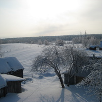 деревня Бояры зима 2013