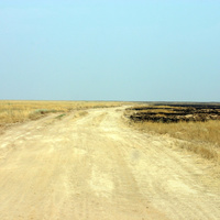 Дорога в степи Кпустин Яр - Эльтон