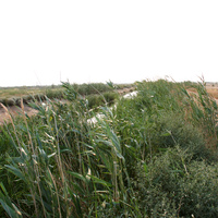 Астраханская область, Водный канал для поливки арбузов