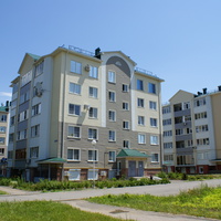 дома из стружки на Гагарина