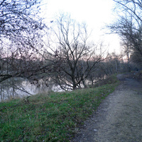 У первого Бирюлевского пруда