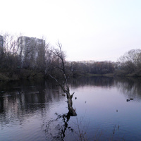 Первый Бирюлевский пруд