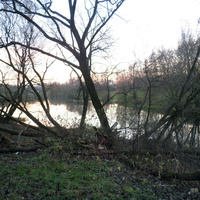 Второй Бирюлевский пруд