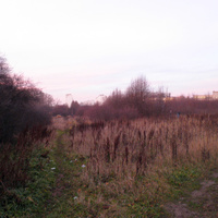 Територрия Загорьевского института до застройки