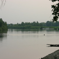 Староселье, река Медведица