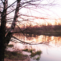 Бирюлевский пруд