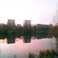 Ставок загорьевского института садоводства