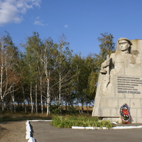 памятник Цезарю Куникову и березовая роща