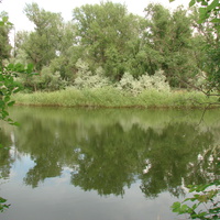 река Большой Караман