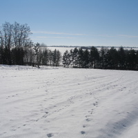Зимовий пейзаж с.Байрак1вки